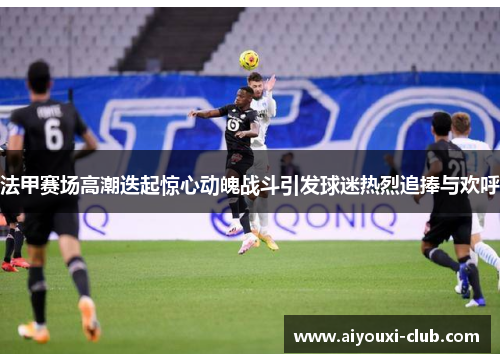 法甲赛场高潮迭起惊心动魄战斗引发球迷热烈追捧与欢呼
