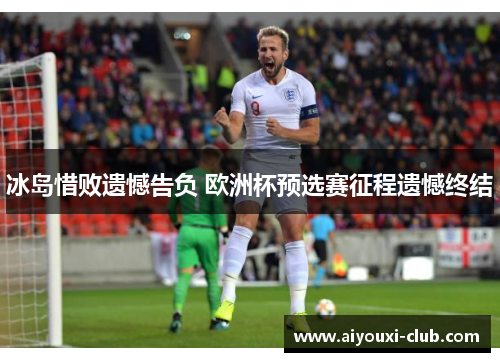 冰岛惜败遗憾告负 欧洲杯预选赛征程遗憾终结