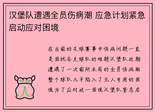 汉堡队遭遇全员伤病潮 应急计划紧急启动应对困境