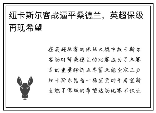 纽卡斯尔客战逼平桑德兰，英超保级再现希望